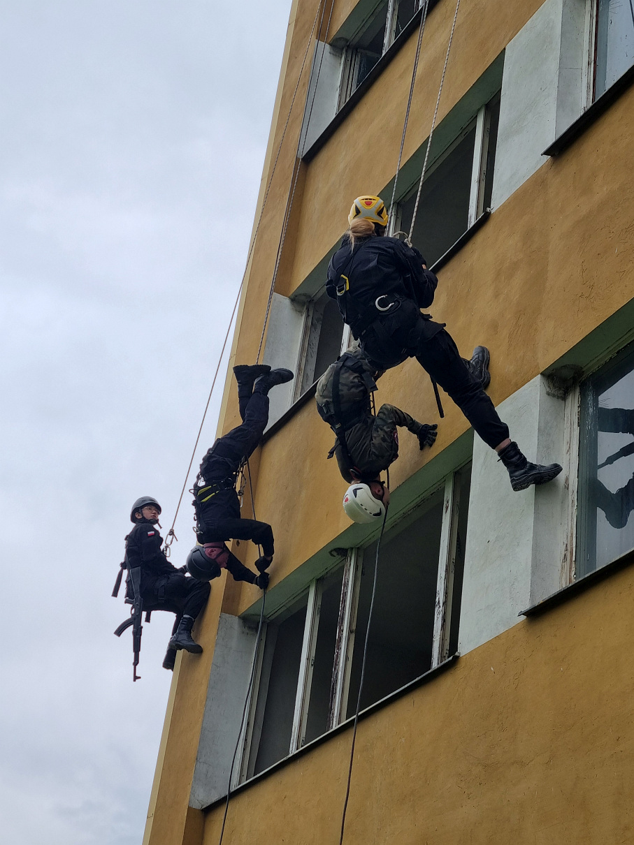 Zdjęcie z galerii